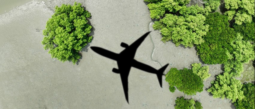 Embracing Sustainability in Corporate Travel